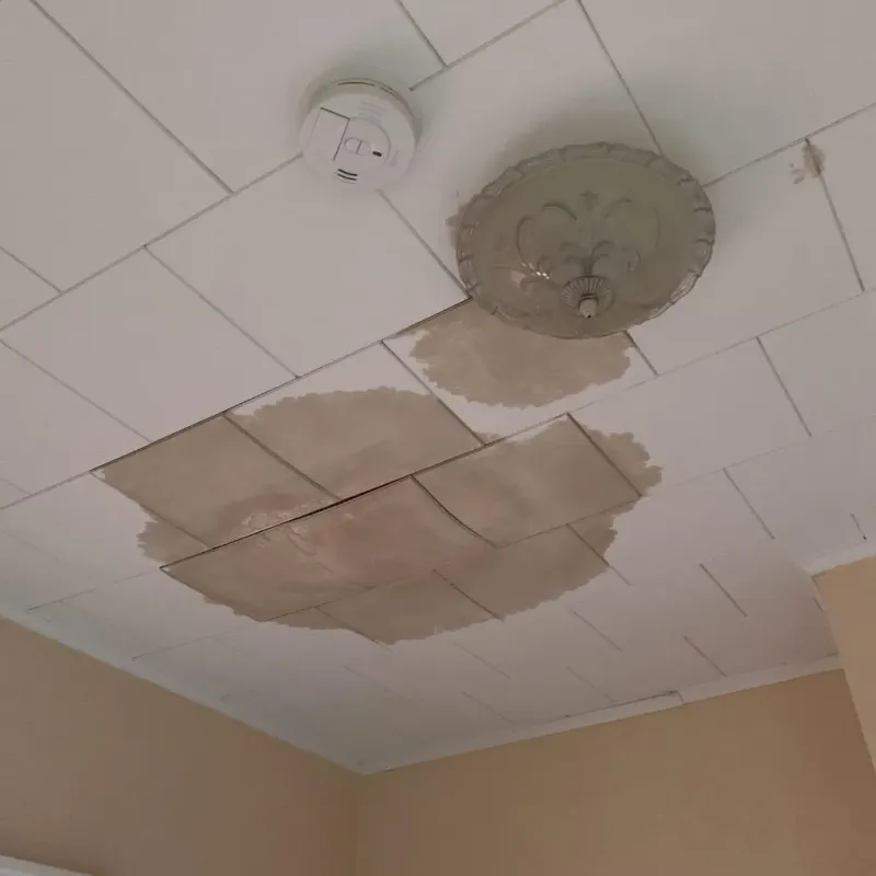 Ceiling Water Damage Repair in Carthage, TX