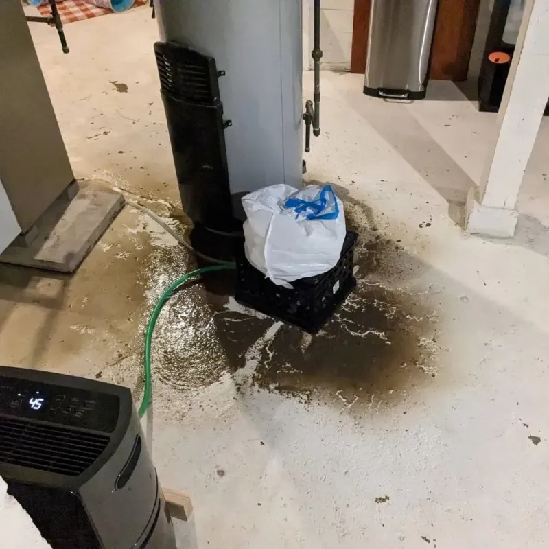 Sewage Backup Cleanup Service in Carthage, TX
